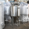 300L Stainless Steel Beer Fermenter with Agitator High Efficiency Fermentation Tank for Sales