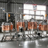 100L High Quality Mini Beer Brewery Equipment for Restaurants