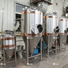 5bbl Copper SS Beer Brewing Equipment with Steam Heating